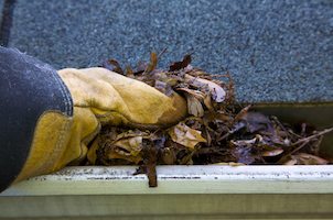 Fall Building Maintenance - NYC Apartments