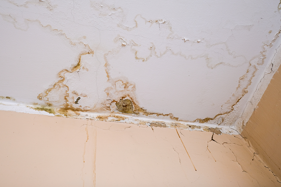 mold prevention