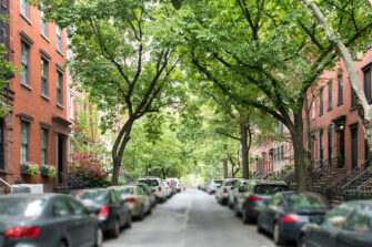 Request Free Trees From NYC Parks