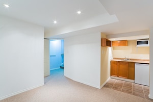 Thinking of finishing your basement?