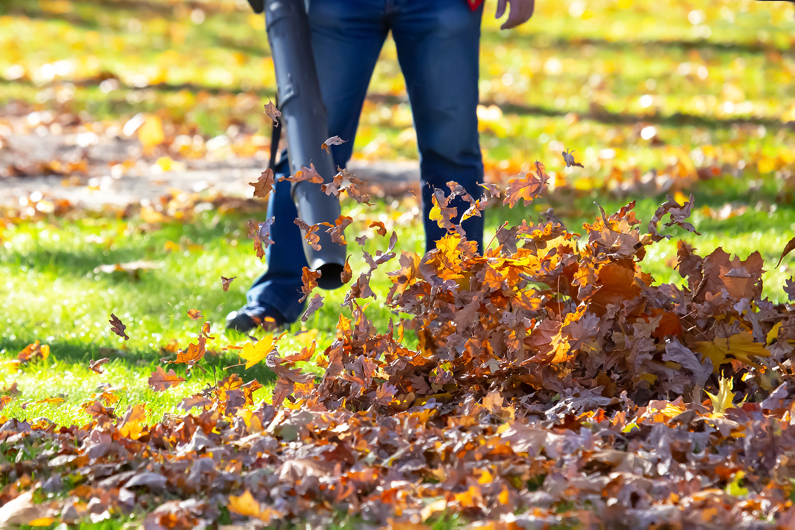 fall landlord maintenance checklist