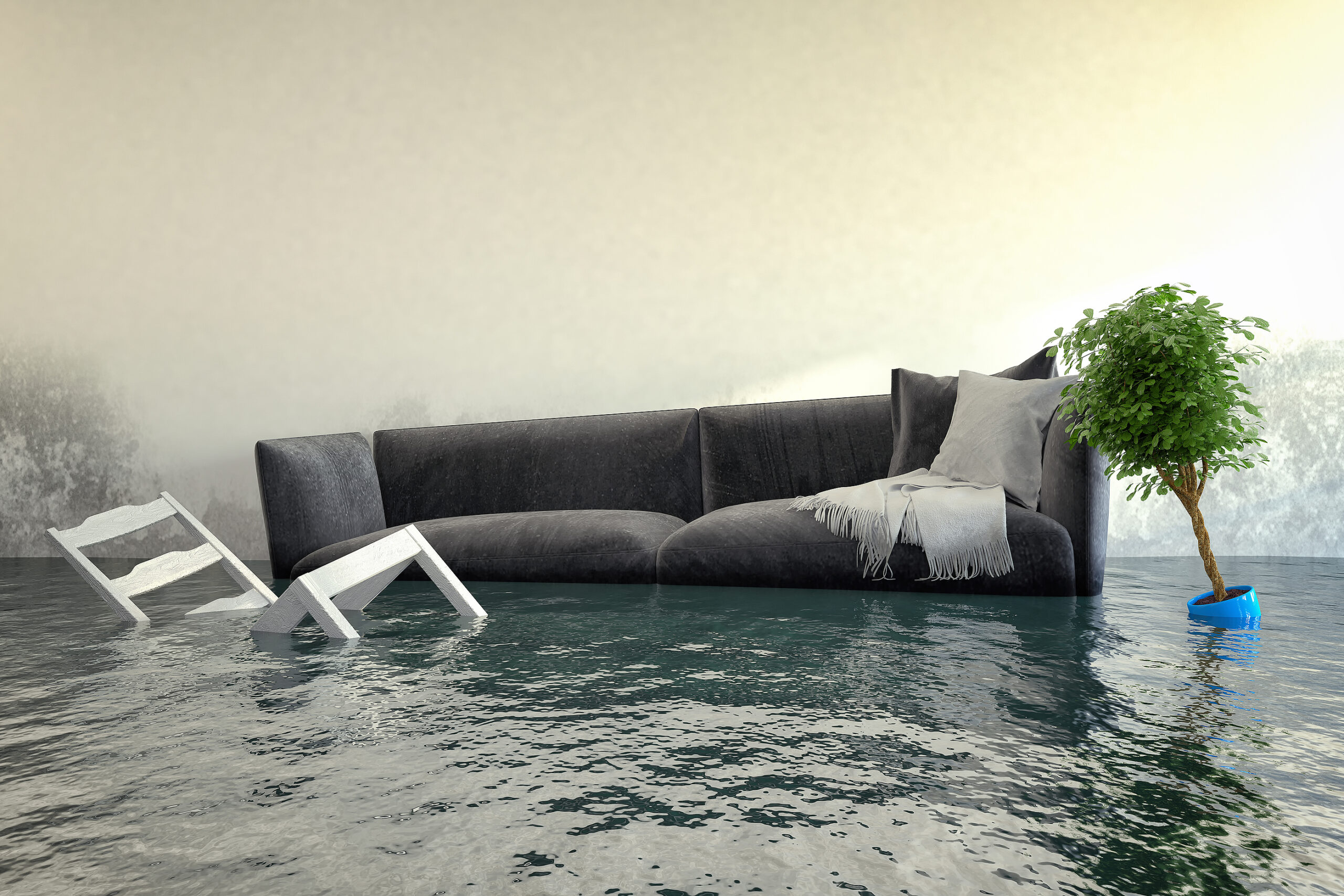 Image for What to Do After a Flood