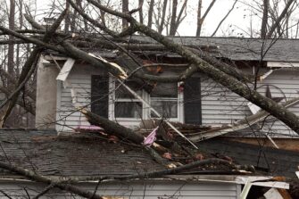 Insurance Claims On Fallen Tree Damage