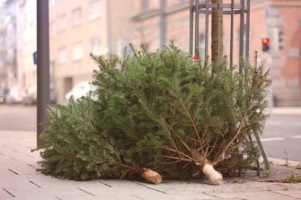 Christmas tree removal in New York City