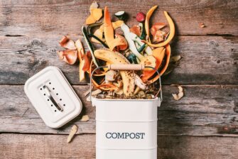 Composting Rules For NYC Landlords