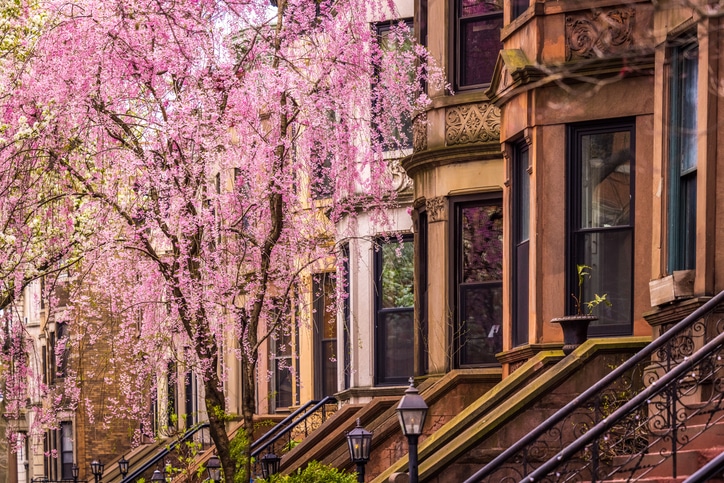 NYC brownstones