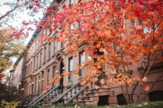 Row of NYC Brownstones in Autumn for Fall Landlord Maintenance Post