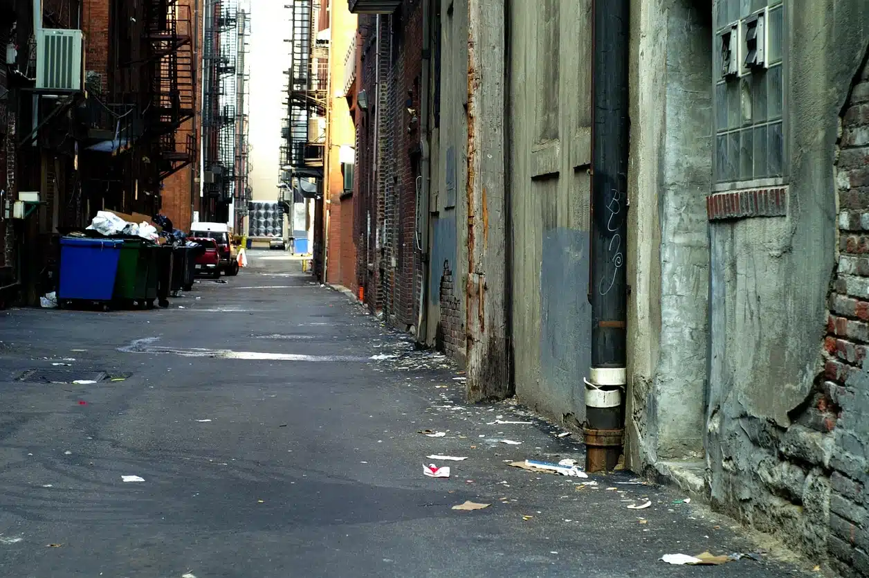 Image for How to clear OATH violations in NYC showing deplorable housing conditions that could result in an OATH violation.